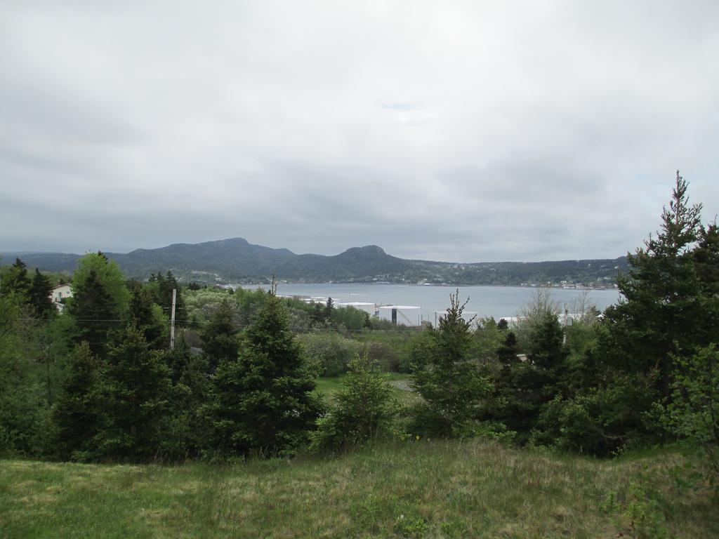 Comerford'S Ocean View Suites Holyrood Eksteriør billede